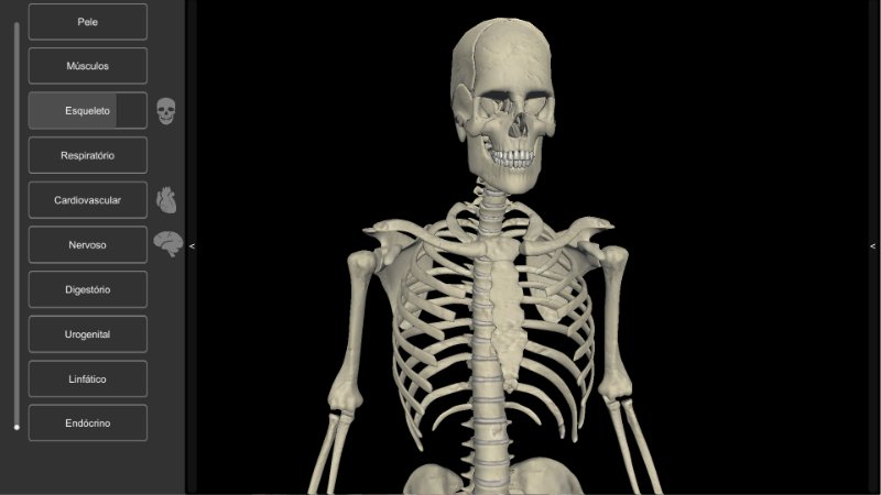 Anatomia Humana 3D - esqueleto