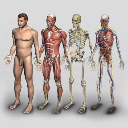 software anatomia humana