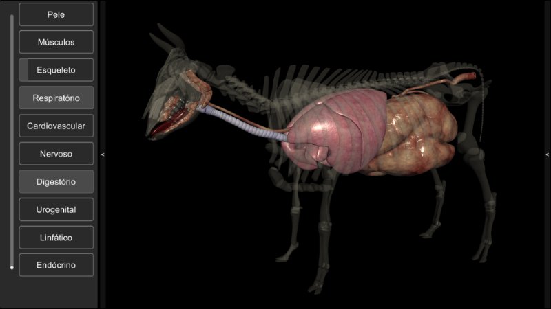 software anatomia bovina 3D