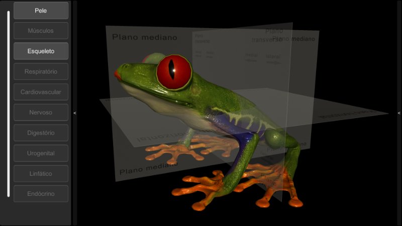 software esqueleto de sapo 3D