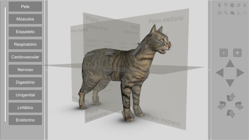 software anatomia da gato 3D