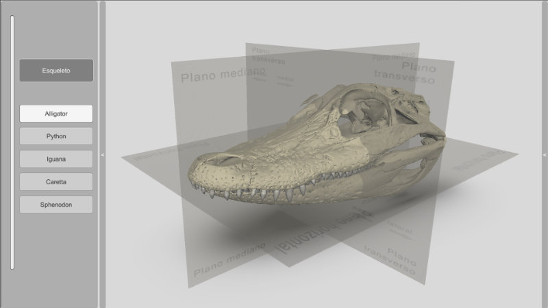 software cranio de repteis 3d