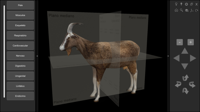 Software Anatomia do Caprino 3D - Planos Anatômicos