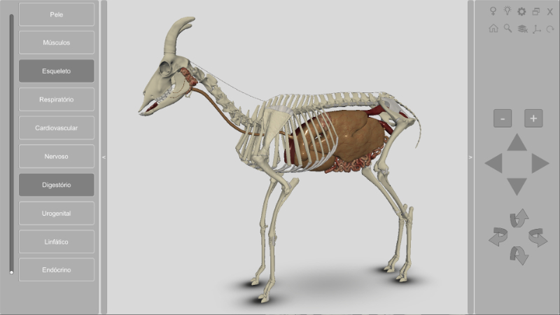 Software Anatomia do Caprino 3D - Sistema Digestório